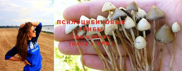 марки nbome Пролетарск